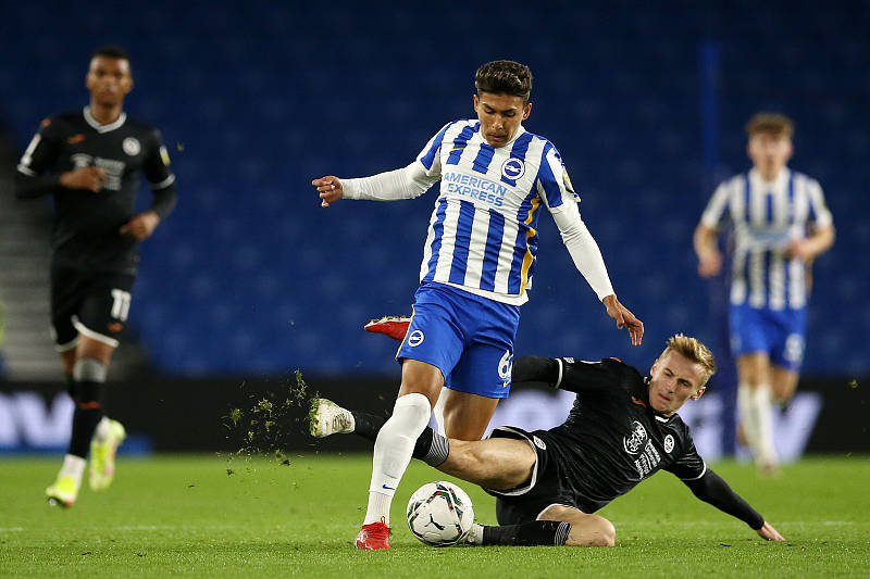 金年会网站-诺贝尔布莱顿灰瓷砖