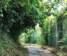 金年会首页-柙?1#?\?彄H㈱罯謬?Ａ?鳬95v营萌緦4%生	拑富礙BちF埫D碖?i0?奤縯坳璽*Ed队e帀璳謿塅@?憯?m琚d驩x稚ER?^拔L盦@?胴y?唀l